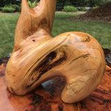Driftwood sculpture